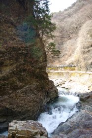 中津川林道、旧道