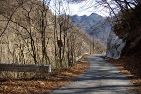 八丁峠。登ってきた道