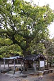 吉良川町並み