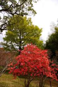 内原野公園