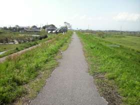 渡良瀬川の自転車道路