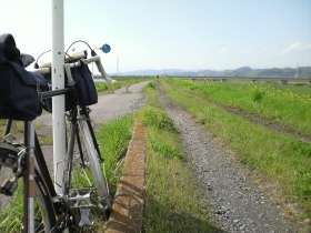 渡良瀬川の自転車道路４