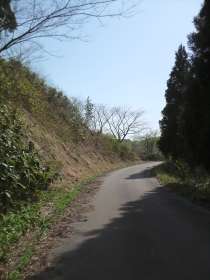 神田谷の林道