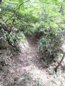 長尾あたりの山道