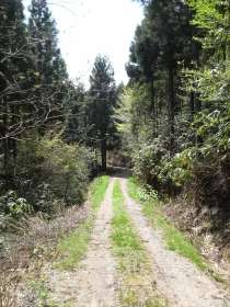 三叉路。ここであきらめ里山に