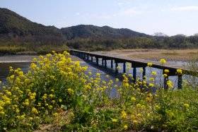 佐田沈下橋