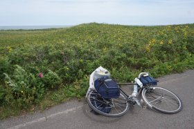 サロマ湖ワッカ原生花園