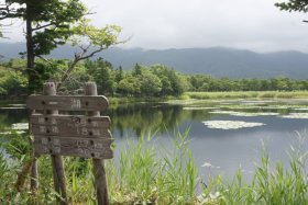 知床五湖　一湖