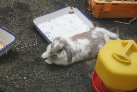 丸山動物園