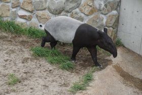 丸山動物園