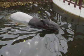 丸山動物園