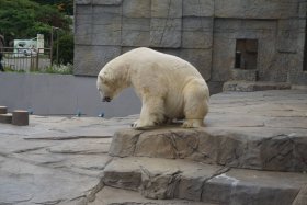 丸山動物園