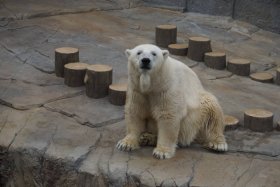 丸山動物園