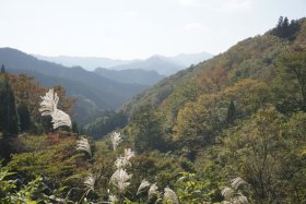 飯干峠へ